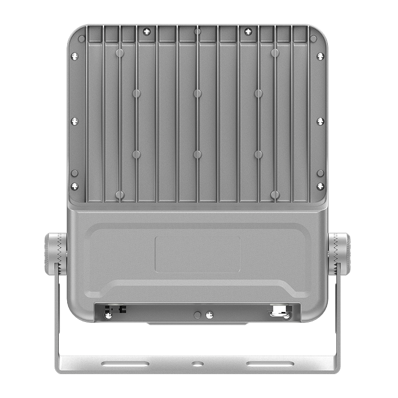 كشاف ضوء LED منخفض الطاقة PY-FL02-100W